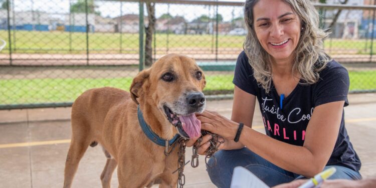 Prefeitura de Porto Velho entrega castramóvel e Samu Pet, oferecendo serviços veterinários públicos