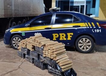 PRF apreende 300 Kg de maconha em Água Clara (MS)