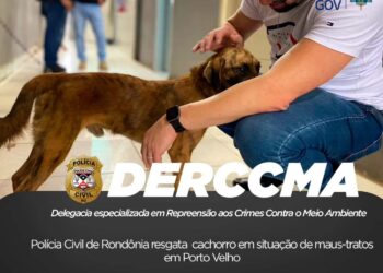 Polícia Civil de Rondônia resgata cachorro em situação de maus-tratos em Porto Velho