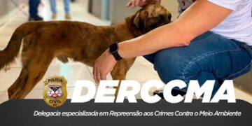 Polícia Civil de Rondônia resgata cachorro em situação de maus-tratos em Porto Velho