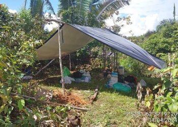 POLÍCIA MILITAR RETIRA MAIS DE 30 INVASORES DE PROPRIEDADE RURAL EM ARIQUEMES