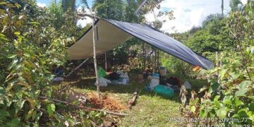 POLÍCIA MILITAR RETIRA MAIS DE 30 INVASORES DE PROPRIEDADE RURAL EM ARIQUEMES
