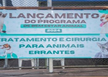 Mais de 55 castrações já foram realizadas em cerca de 15 dias de atendimento na Clínica Pública Veterinária