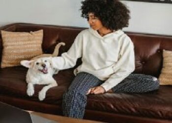 Pulgas e carrapatos: prevenção é fundamental durante o ano inteiro