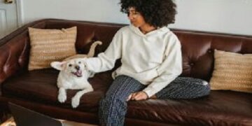 Pulgas e carrapatos: prevenção é fundamental durante o ano inteiro