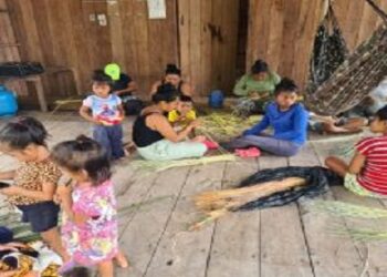 Por meio do artesanato, mulheres Paumari fortalecem a cultura do povo e promovem empoderamento feminino