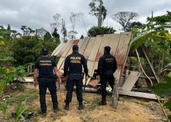 PF combate crimes na Terra Indígena Igarapé Lage em Rondônia