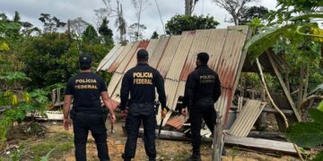 PF combate crimes na Terra Indígena Igarapé Lage em Rondônia