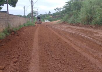 Vereador Wanoel Martins consegue recuperação da estrada de ferro Madeira Mamoré no bairro Triângulo