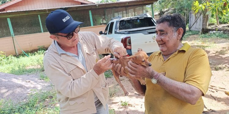 Mais de mil animais foram imunizados contra a raiva em mutirão de vacinação na zona rural de Porto Velho