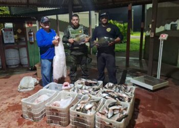 POLÍCIA AMBIENTAL APREENDE 300 KG DE PESCADO IRREGULAR NA ZONA RURAL DE PORTO VELHO