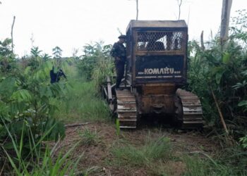 OPERAÇÃO PROTETOR DO BIOMA: IMAGENS DE SATÉLITE REVELAM DESMATAMENTO ILEGAL EM SÃO FRANCISCO DO GUAPORÉ