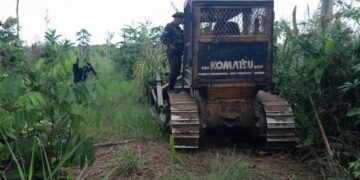 OPERAÇÃO PROTETOR DO BIOMA: IMAGENS DE SATÉLITE REVELAM DESMATAMENTO ILEGAL EM SÃO FRANCISCO DO GUAPORÉ