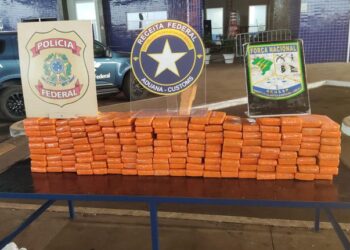 PF, Receita Federal e Força Nacional prendem motorista com cerca de 100 kg de maconha