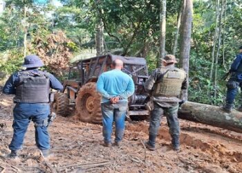 OPERAÇÃO PROTETOR DO BIOMA FLAGRA EXTRAÇÃO ILEGAL DE MADEIRA PRÓXIMO DO DISTRITO DE VISTA ALEGRE DO ABUNÃ
