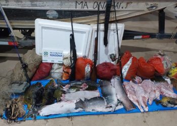 FLAGRANTE NA NATUREZA: POLÍCIA MILITAR DE RONDÔNIA INTERCEPTA PESCA PREDATÓRIA E ARMAMENTO ILEGAL