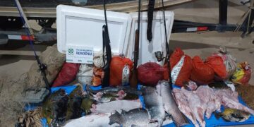 FLAGRANTE NA NATUREZA: POLÍCIA MILITAR DE RONDÔNIA INTERCEPTA PESCA PREDATÓRIA E ARMAMENTO ILEGAL
