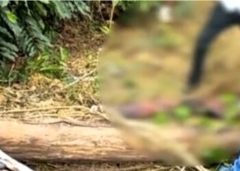 Corpo de travesti é encontrado na beira de mata no, em Ji-Paraná