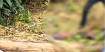 Corpo de travesti é encontrado na beira de mata no, em Ji-Paraná