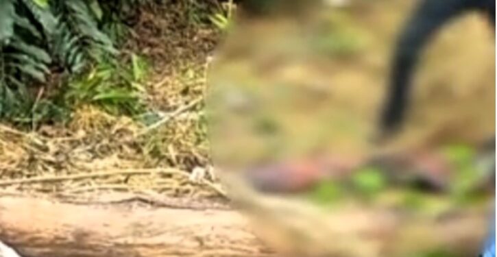 Corpo de travesti é encontrado na beira de mata no, em Ji-Paraná