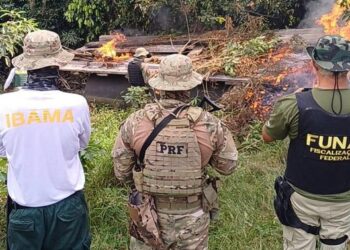 Em Rondônia, PRF participa de operação para remoção de invasores da Terra Indígena Karipuna