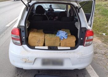 PRF apreende 149 kg de maconha em Itapecerica da Serra