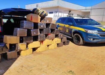 PRF apreende 515 kg de maconha e skunk em Brasilândia (MS)