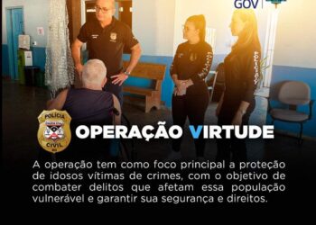 Polícia Civil de Rondônia Intensifica Ações na Operação Virtude 2024