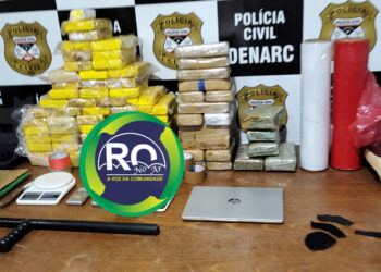 VEJA O VÍDEO – DENARC: Prejuízo de 1 milhão e meio para o tráfico