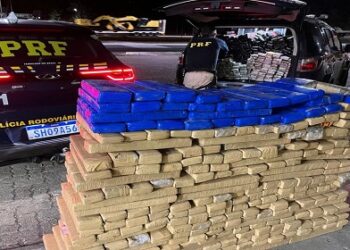 PRF encontra cerca de meia tonelada de maconha após sinistro com carreta na BR-251