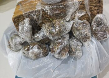 DUPLA É PRESA POR TRÁFICO DE DROGAS