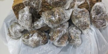 DUPLA É PRESA POR TRÁFICO DE DROGAS