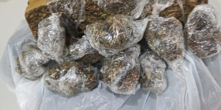 DUPLA É PRESA POR TRÁFICO DE DROGAS
