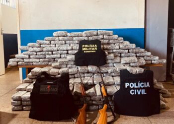 OPERAÇÃO POLICIAL APREENDE 419KG DE MACONHA SKANK EM FAZENDA DE RONDÔNIA
