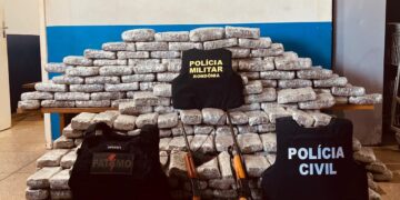 OPERAÇÃO POLICIAL APREENDE 419KG DE MACONHA SKANK EM FAZENDA DE RONDÔNIA