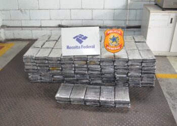 PF e RF apreendem tabletes de cocaína no Porto de Santos