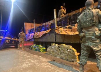 PRF apreende mais de 3,5 toneladas de maconha na região de Cascavel (PR)