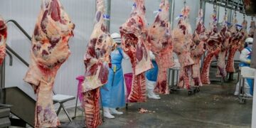 Reunião discute viabilizar a exportação da carne bovina de Rondônia pelo rio Madeira