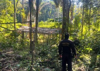 PF deflagra a Operação Xalawata em combate a crimes ambientais em RO