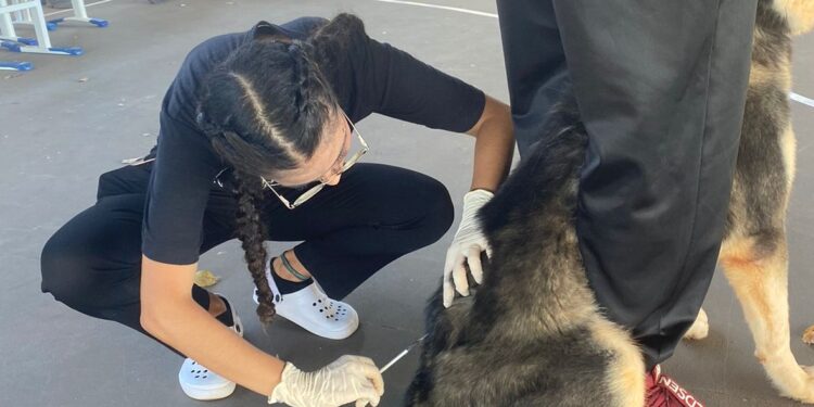 UNIR promove vacinação e vermifugação gratuita para pets