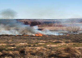 Queimadas afetam fornecimento de energia para uma média de 12 mil clientes por ano