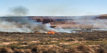 Queimadas afetam fornecimento de energia para uma média de 12 mil clientes por ano