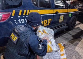 PRF prende motorista transportando cerca de 80 kg de maconha na BR-381
