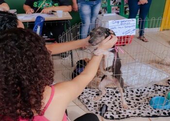 Feira de adoção de cães e gatos acontece no próximo sábado (27), no Skate Parque
