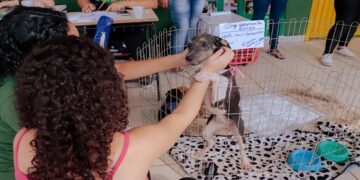 Feira de adoção de cães e gatos acontece no próximo sábado (27), no Skate Parque