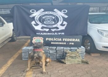 PF prende duas pessoas em flagrante com mais de 100kg de drogas