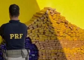 PRF apreende 800 Kg de maconha e recupera caminhonete em Coxim (MS)