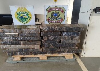 PF, BPFron e BPM/PR apreendem 578kg de maconha na cidade de Terra Roxa/PR