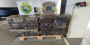 PF, BPFron e BPM/PR apreendem 578kg de maconha na cidade de Terra Roxa/PR
