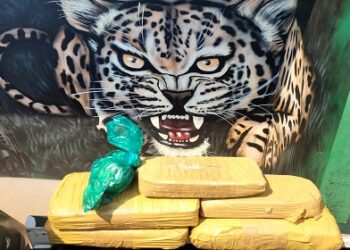 POLÍCIA MILITAR APREENDE 5 KG DE DROGAS E PRENDE SUSPEITOS EM OPERAÇÃO NA BR 425